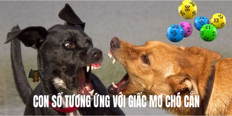 Bộ số tương ứng với giấc mơ thấy chó cắn