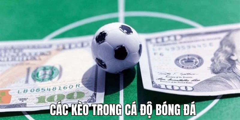 Những hình thức cá độ đá bóng quen thuộc