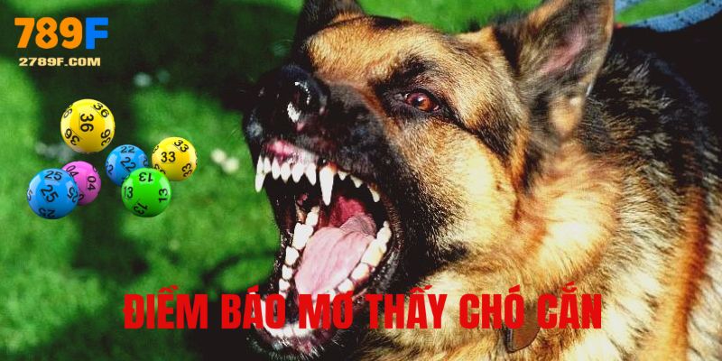 Điềm báo khi mơ thấy chó cắn