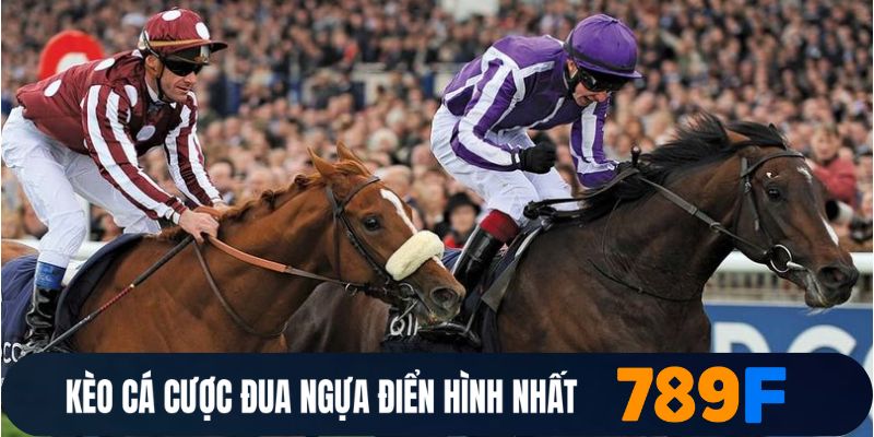 Kèo cá cược đua ngựa điển hình nhất