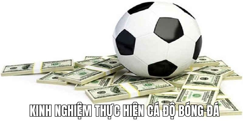 Kinh nghiệm đem lại hiệu quả cao khi cá độ bóng đá