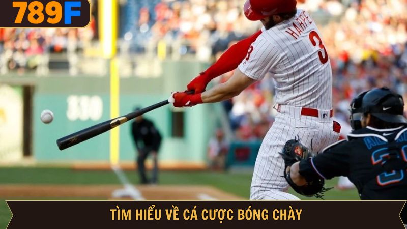 Đôi nét về hình thức cược bóng chày
