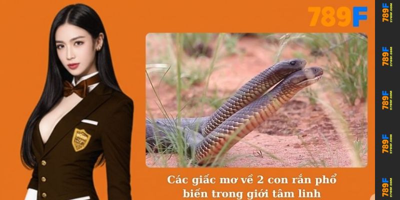Các giấc mơ về 2 con rắn phổ biến trong giới tâm linh