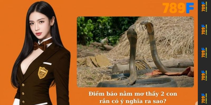 Điềm báo nằm mơ thấy 2 con rắn có ý nghĩa ra sao?