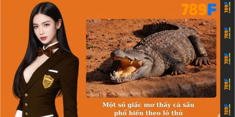 Một số giấc mơ thấy cá sấu phổ biến theo lô thủ