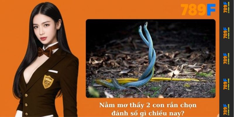 Nằm mơ thấy 2 con rắn chọn đánh số gì chiều nay?