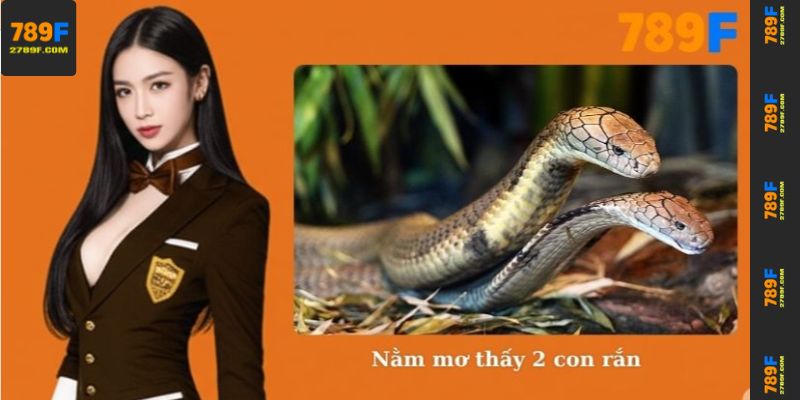 Nằm mơ thấy 2 con rắn