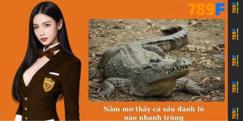 Nằm mơ thấy cá sấu đánh lô nào nhanh trúng