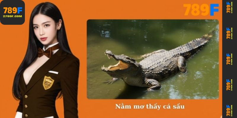 Nằm mơ thấy cá sấu