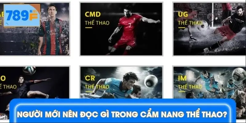 Những nội dung cần quan tâm khi truy cập sảnh thể thao